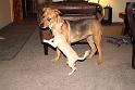 Sandy and Cindy_10739